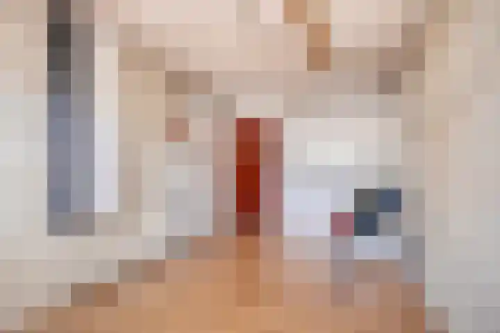 Langeweid 11 Koedijk thumbnail 38