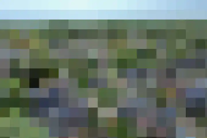 Langeweid 11 Koedijk thumbnail 40