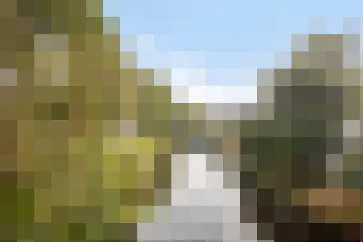 Langeweid 11 Koedijk thumbnail 41