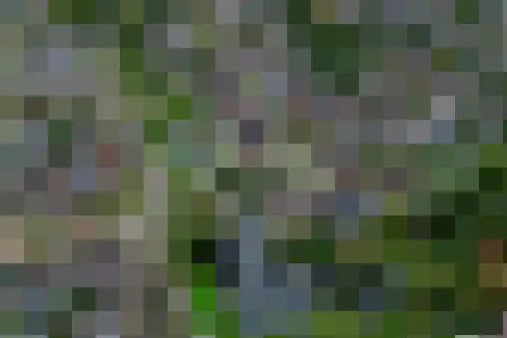Langeweid 11 Koedijk thumbnail 5