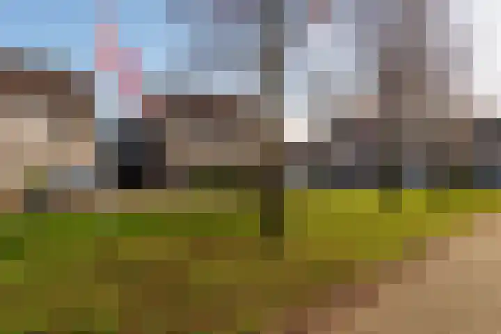 Langewerf 22 Hank thumbnail 37