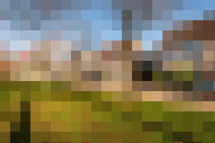 Langewerf 22 Hank thumbnail 38