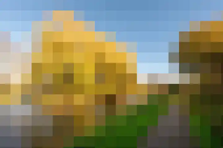 Langewerf 22 Hank thumbnail 41
