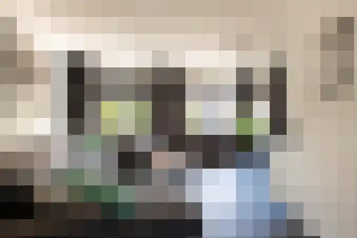 Langewerf 22 Hank thumbnail 5