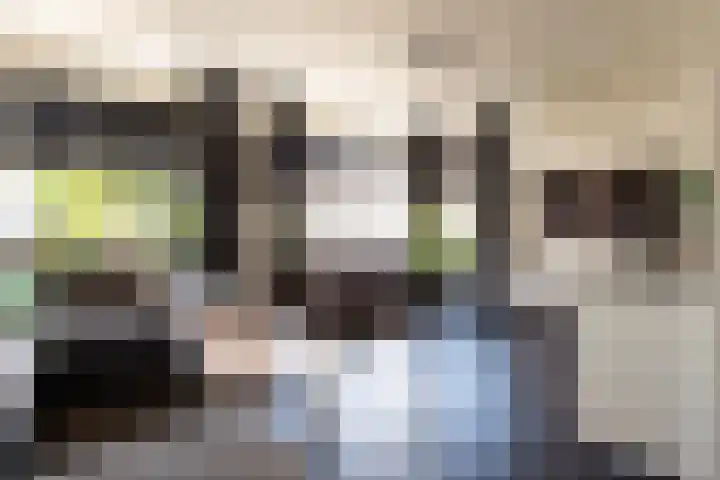 Langewerf 22 Hank thumbnail 6
