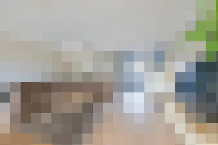 Langeweydt 30 Medemblik thumbnail 13