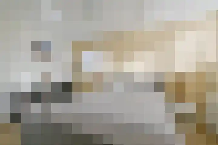 Langeweydt 30 Medemblik thumbnail 20