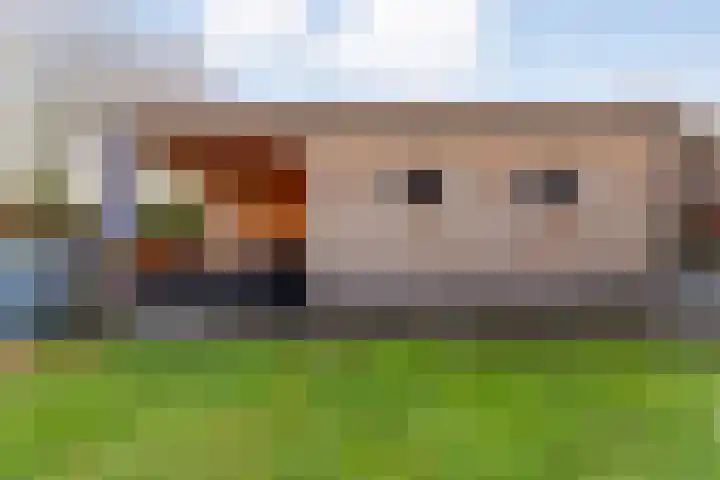 Langewijk 157 Dedemsvaart thumbnail 50