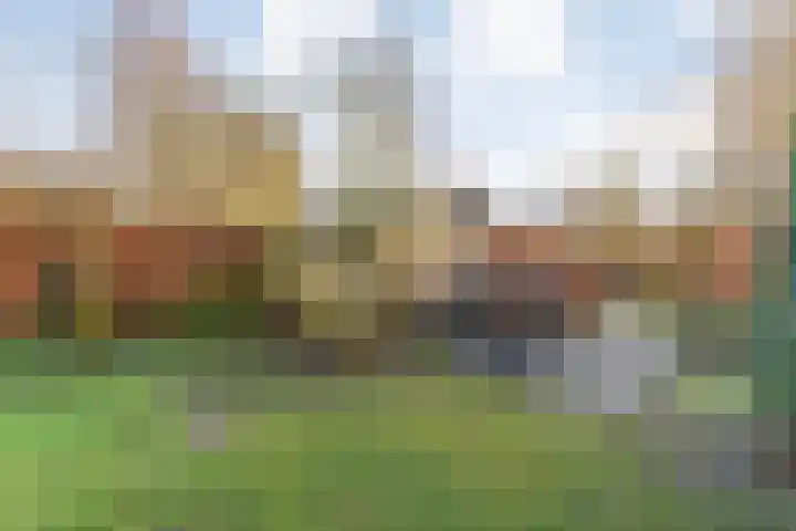 Langewijk 157 Dedemsvaart thumbnail 56