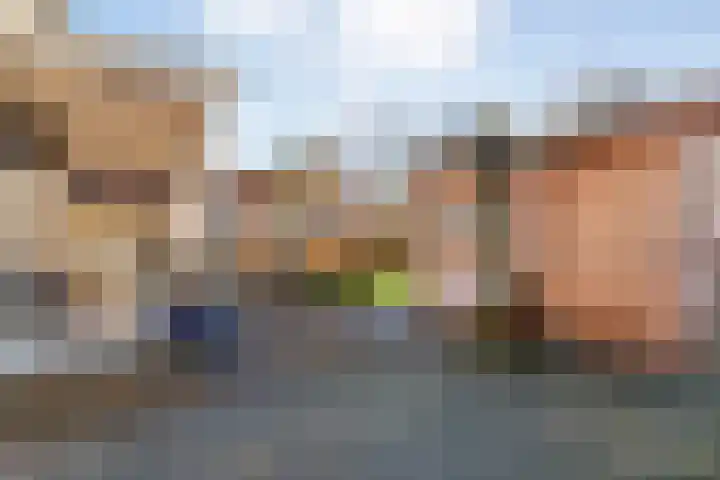 Langewijk 157 Dedemsvaart thumbnail 61