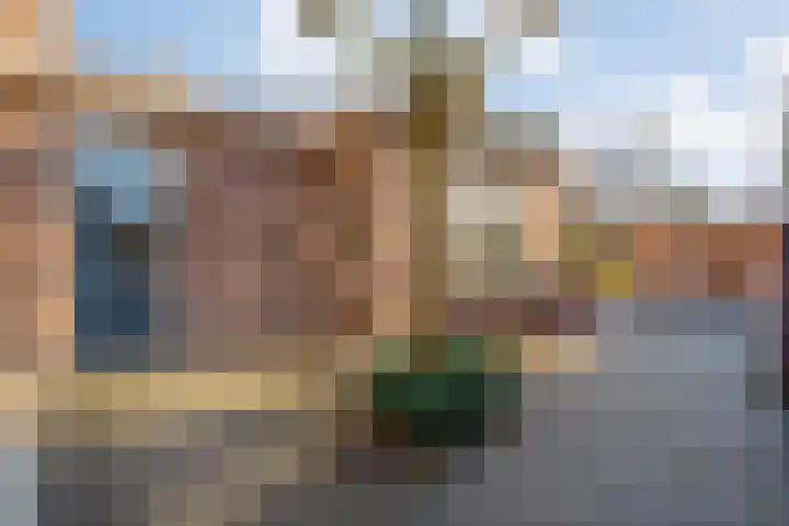 Langewijk 157 Dedemsvaart thumbnail 65