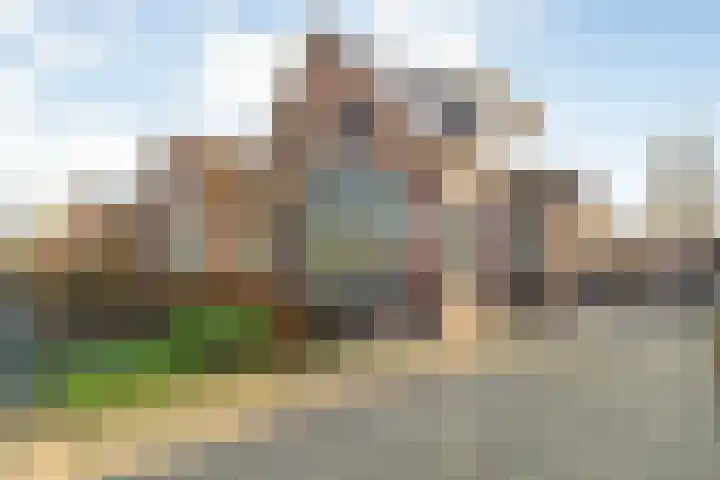 Langewijk 157 Dedemsvaart thumbnail 69