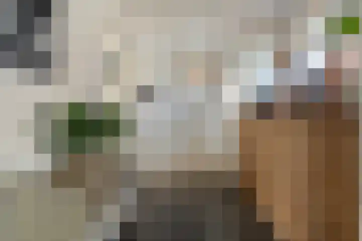 Langewijk 157 Dedemsvaart thumbnail 9