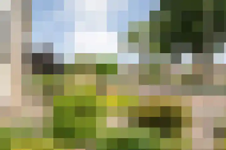 Langewijk 170 Dedemsvaart thumbnail 11