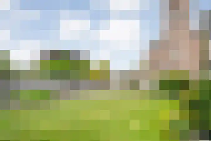 Langewijk 170 Dedemsvaart thumbnail 49