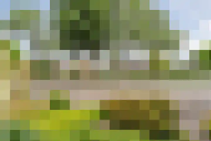 Langewijk 170 Dedemsvaart thumbnail 6