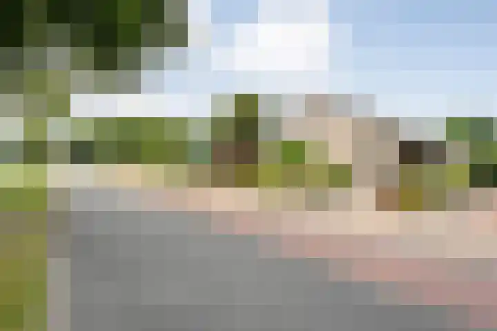 Langewijk 170 Dedemsvaart thumbnail 60