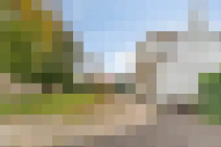 Langewijk 190 Dedemsvaart thumbnail 10