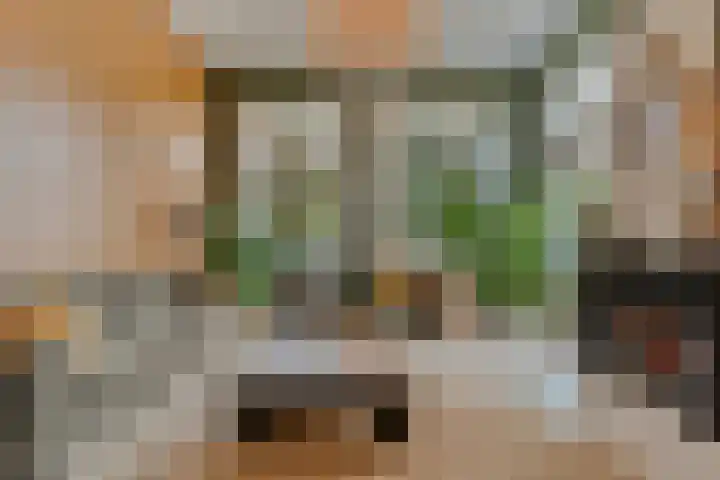 Langewijk 190 Dedemsvaart thumbnail 16