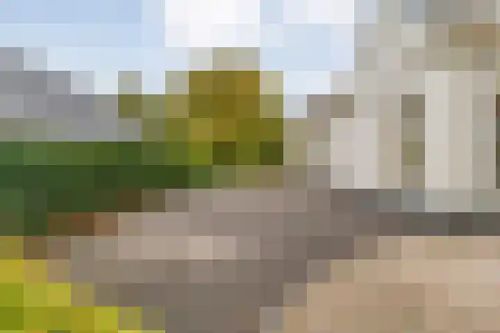 Langewijk 190 Dedemsvaart thumbnail 7