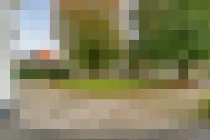 Langewijk 190 Dedemsvaart thumbnail 8
