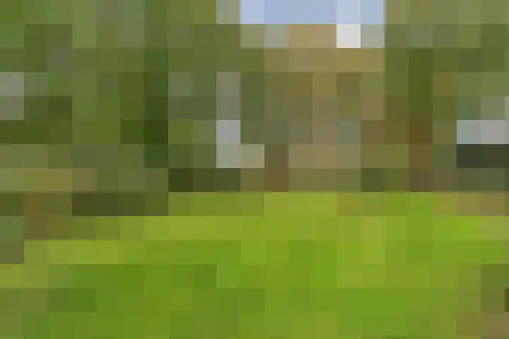 Langewijk 190 Dedemsvaart thumbnail 90