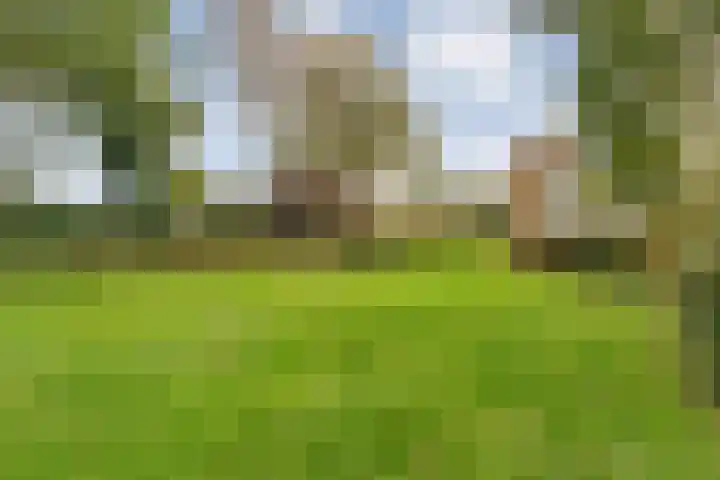 Langewijk 190 Dedemsvaart thumbnail 92