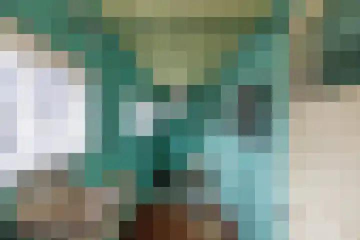 Langewijk 35 Sappemeer thumbnail 11