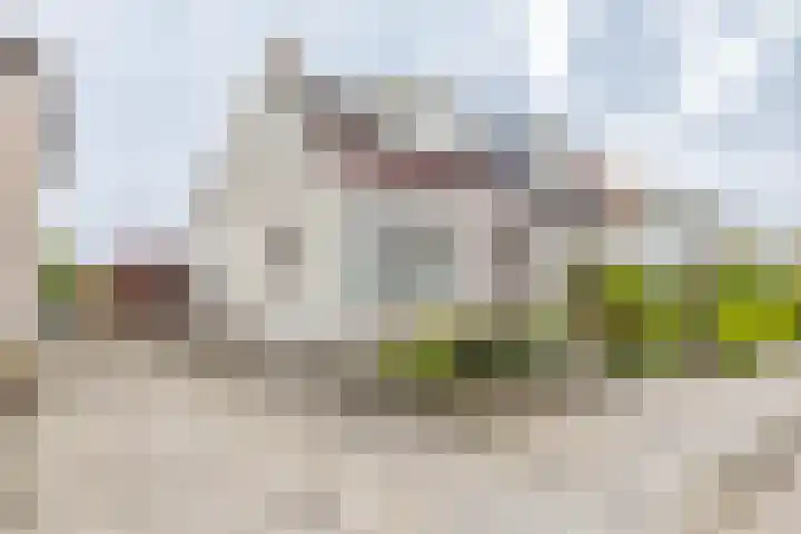 Langewijk 35 Sappemeer thumbnail 36