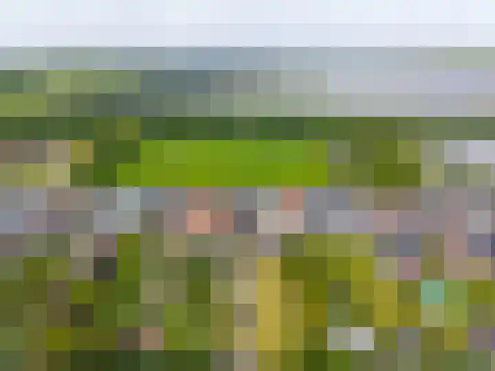 Langewijk 35 Sappemeer thumbnail 39
