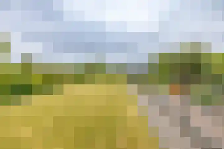 Langewijk 35 Sappemeer thumbnail 4