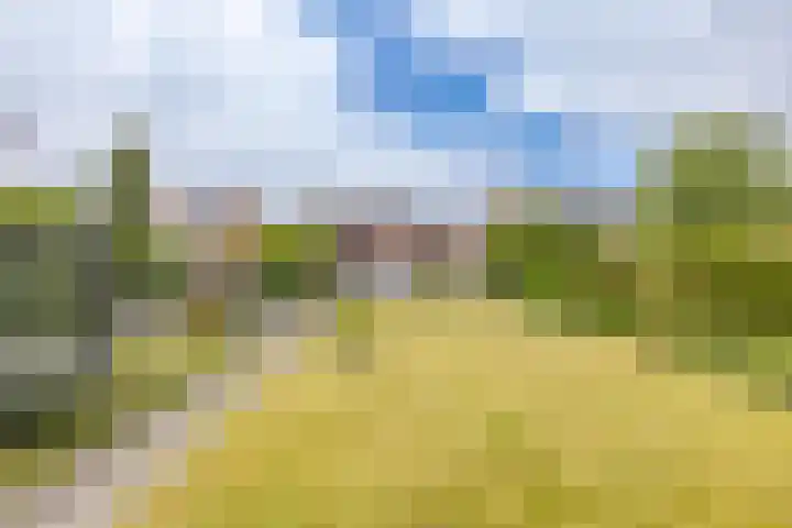 Langewijk 35 Sappemeer thumbnail 5