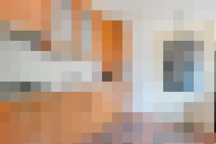 Langewijk 82 Dedemsvaart thumbnail 13