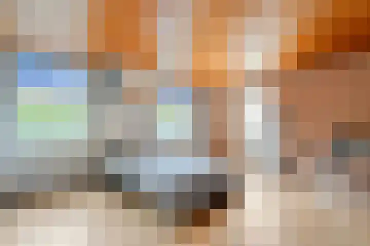Langewijk 82 Dedemsvaart thumbnail 17