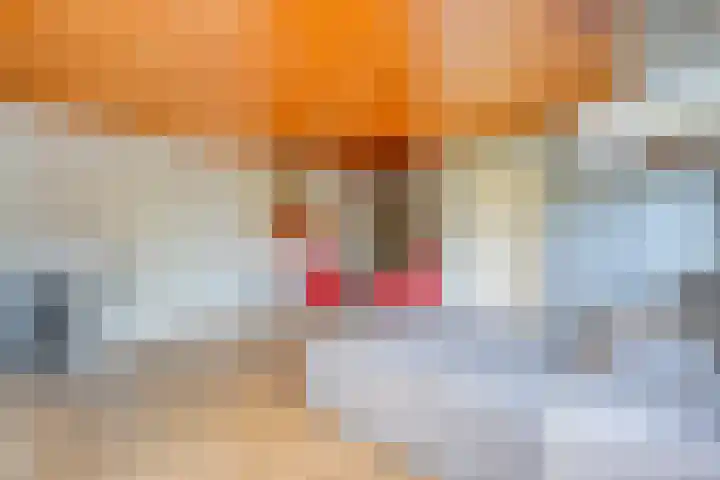 Langewijk 82 Dedemsvaart thumbnail 18