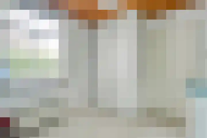 Langewijk 82 Dedemsvaart thumbnail 21