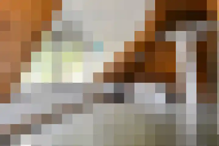 Langewijk 82 Dedemsvaart thumbnail 26