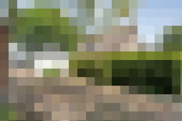 Langewijk 82 Dedemsvaart thumbnail 32