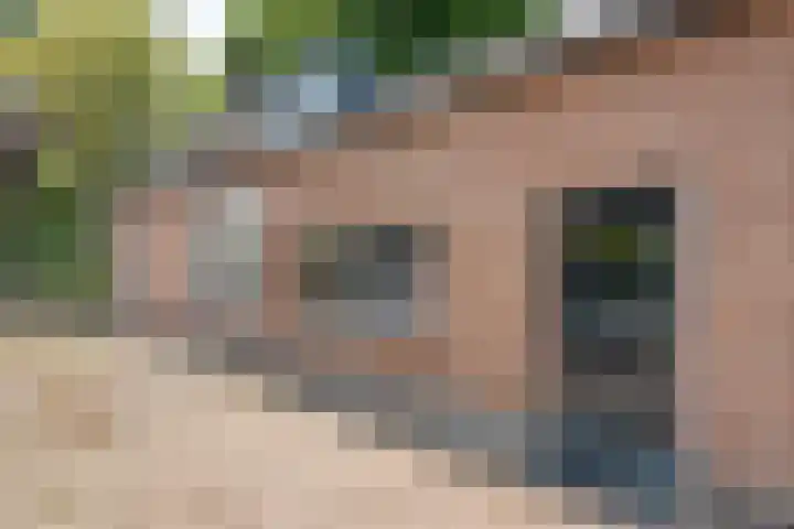 Langewijk 82 Dedemsvaart thumbnail 33