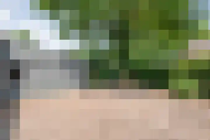 Langewijk 82 Dedemsvaart thumbnail 34