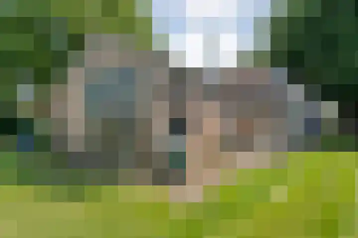 Langewijk 82 Dedemsvaart thumbnail 35