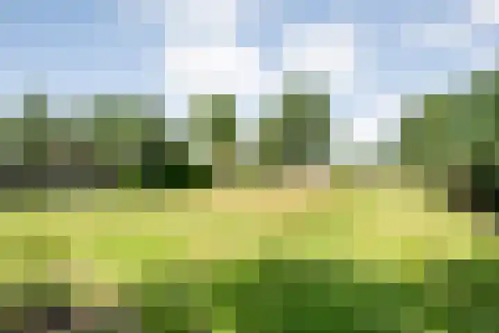 Langewijk 82 Dedemsvaart thumbnail 38