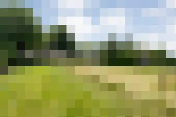 Langewijk 82 Dedemsvaart thumbnail 39