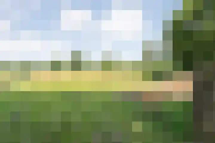 Langewijk 82 Dedemsvaart thumbnail 42