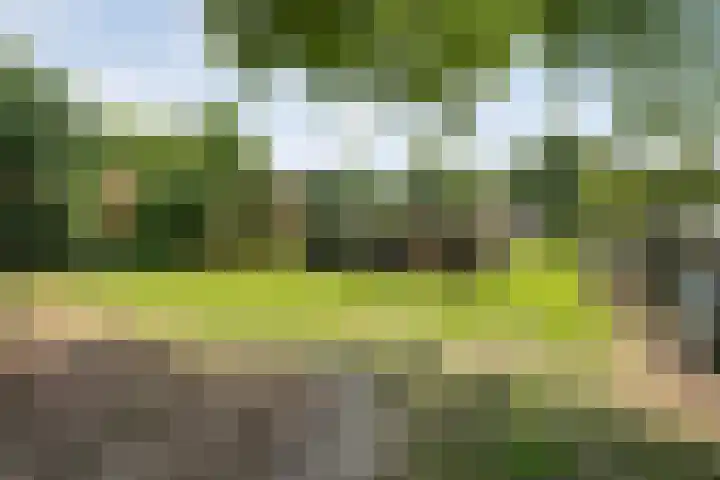 Langewijk 82 Dedemsvaart thumbnail 43