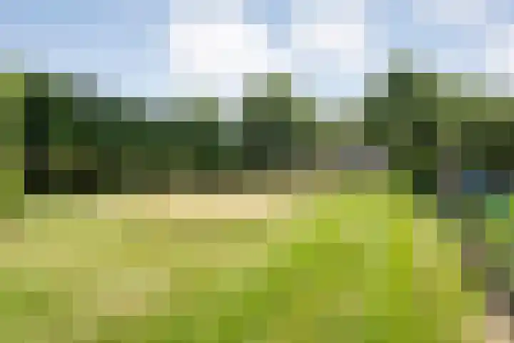Langewijk 82 Dedemsvaart thumbnail 44