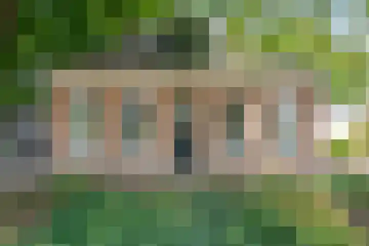 Langewijk 82 Dedemsvaart thumbnail 51