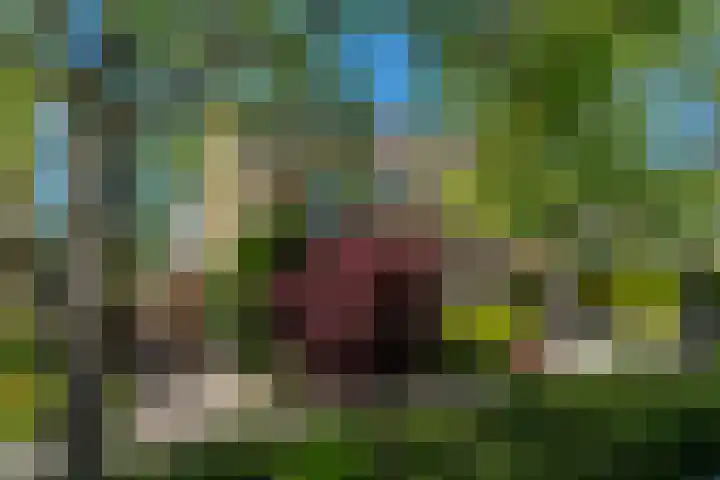 Langewold 4 Veendam