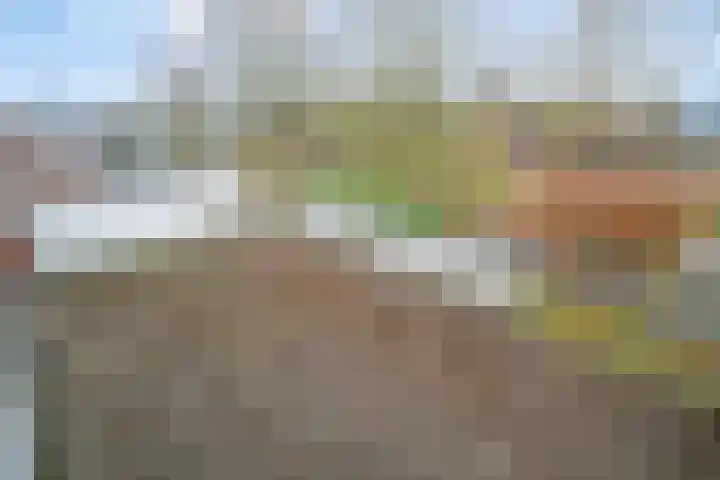 Langezand 55 Lelystad thumbnail 42