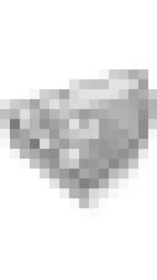 Langgewenst 129 Hilversum thumbnail 21